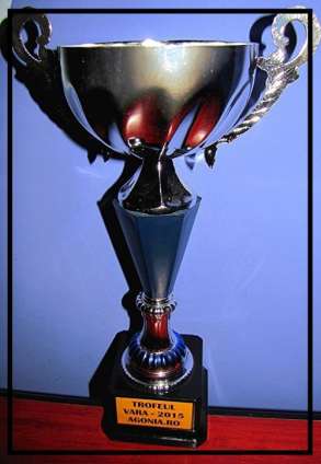 Concurs de poezie "Vara 2015 - agonia.ro" :: 